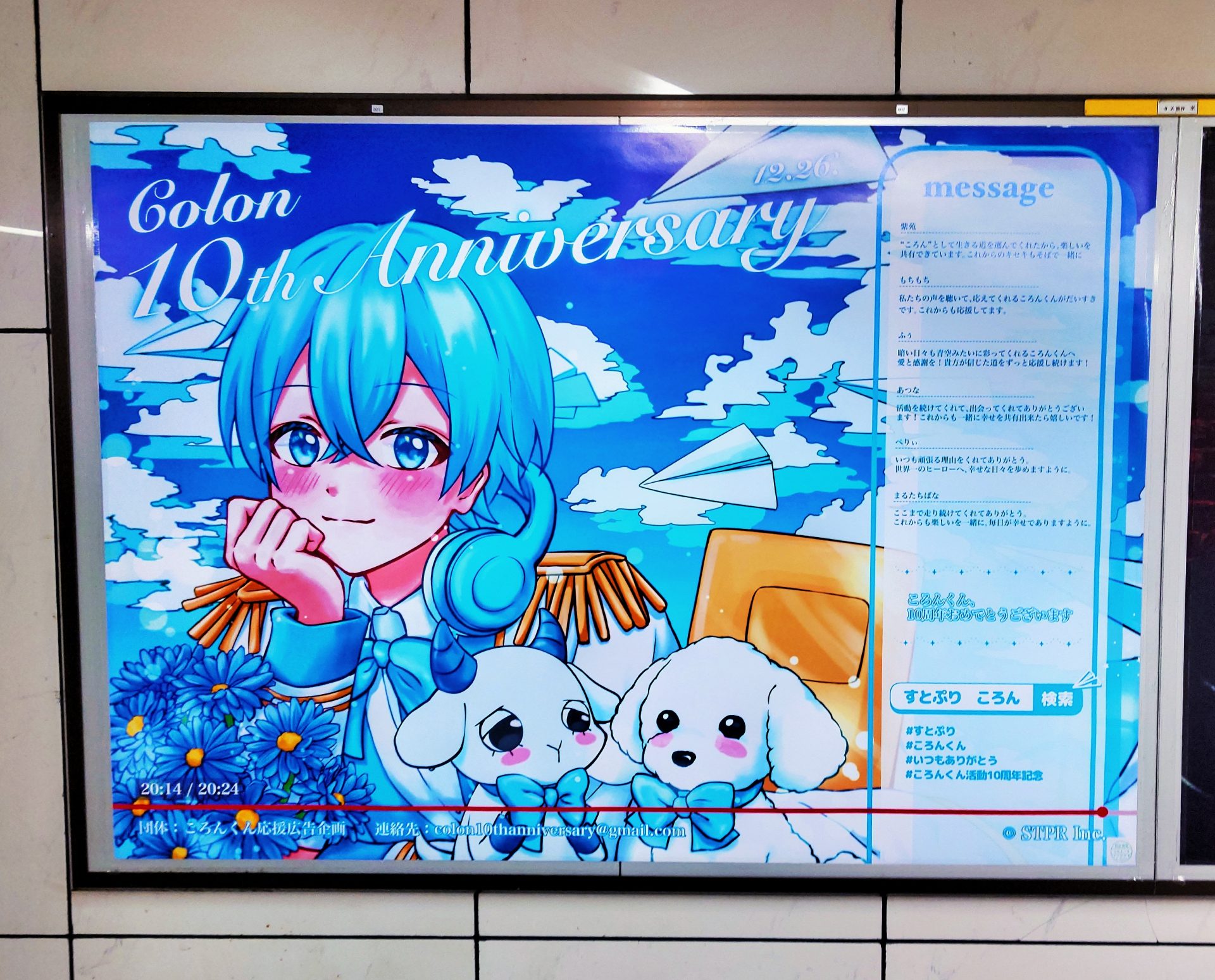 ころん 20241229 002110