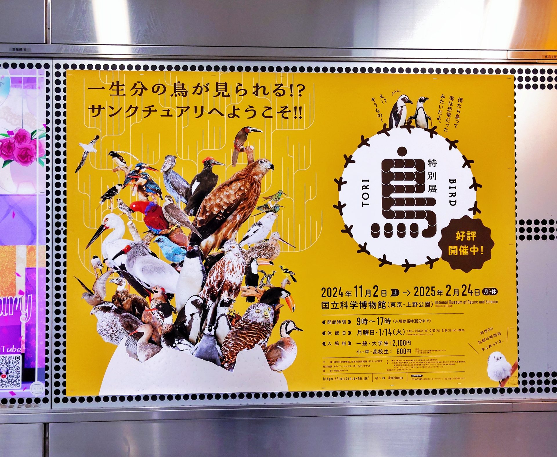shibuyaposter, shibuyastation, TORI, 国立科学博物館, 渋谷駅ポスター広告, 特別展 20250109 235153